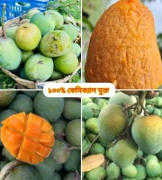 40 কেজি  গোবিন্দভোগ আম 130 টাকা করে 5200 টাকা