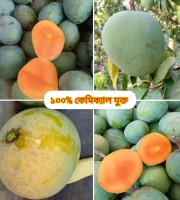 10 কেজি গোবিন্দভোগ আম 140 টাকা করে 1400 টাকা